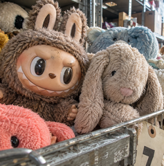 Copertina di Labubu e Jellycat: fino a 26 mesi di carcere per il furto di 83 peluche