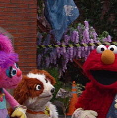 Copertina di Sesame Street: Netflix prepara un film live action e rinnova la serie fino alla stagione 62