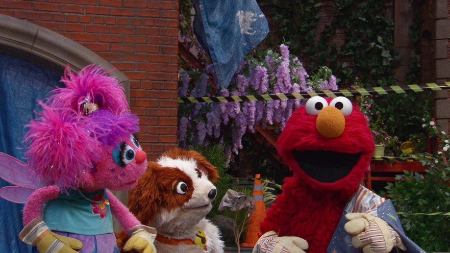 Sesame Street: Netflix prepara un film live action e rinnova la serie fino alla stagione 62