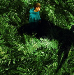 Copertina di Dove è stato girato The Animal Kingdom? Tutte le location del film