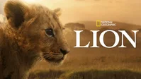 I migliori documentari su Disney+ di ottobre 2026