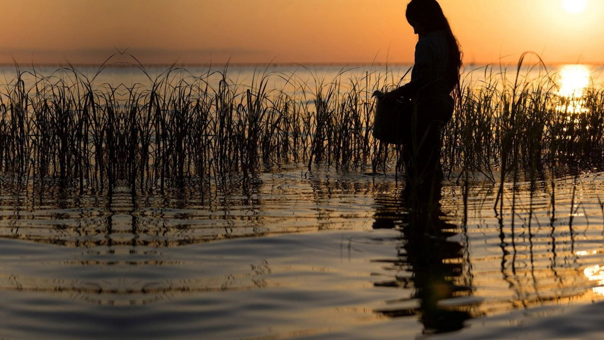 Immagine di La ragazza della palude, stasera su Rai 2: trama, cast e streaming