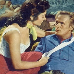 Copertina di La frustata, il film stasera in tv su Iris: trama, cast e streaming