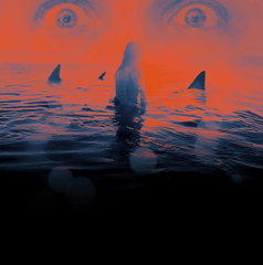 Copertina di Quali canzoni si sentono in Dangerous Animals?