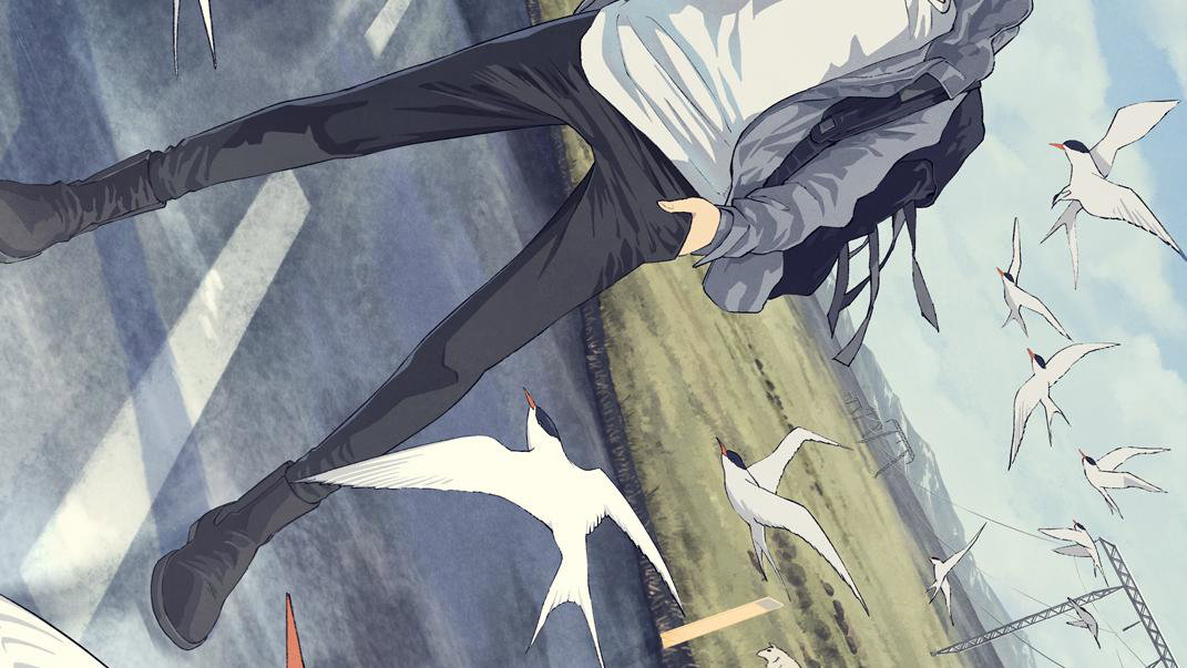 Immagine di Nuvole a nord-ovest: l’anime arriva nel 2027, esclusiva mondiale su Netflix