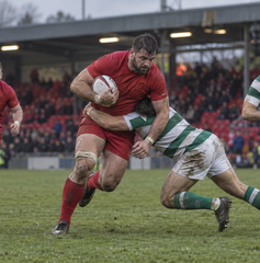 Copertina di Dove vedere Scarlets-Benetton Rugby oggi 10 ottobre: orario, canale e streaming URC