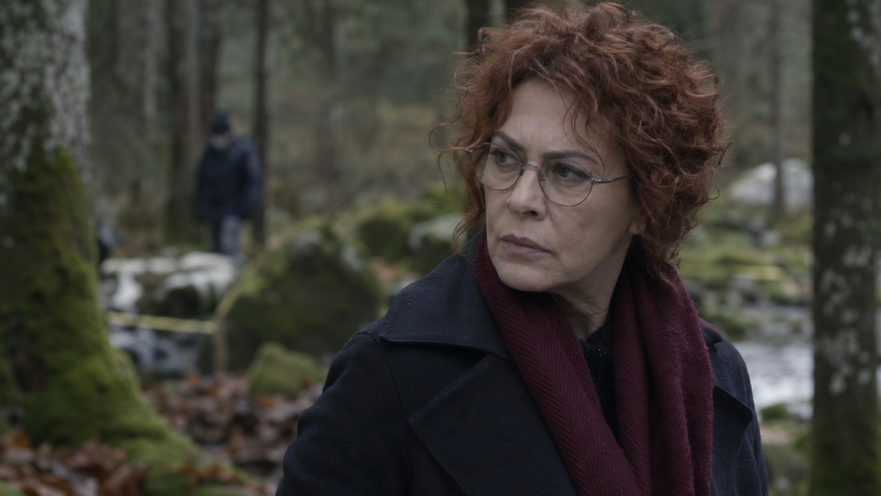 Dove vedere I casi di Teresa Battaglia stasera 12 ottobre 2026: orario, canale e streaming