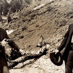 Copertina di Che fine ha fatto Audie Murphy, Seven Jones in Sette strade al tramonto?
