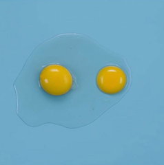 Copertina di Dove è stato girato The Substance?