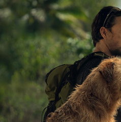Copertina di Arthur the King - Insieme a ogni costo stasera su Rai 3: trama, cast e streaming