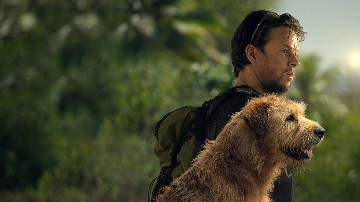 Immagine di Arthur the King - Insieme a ogni costo: trama, cast e dove vederlo in streaming