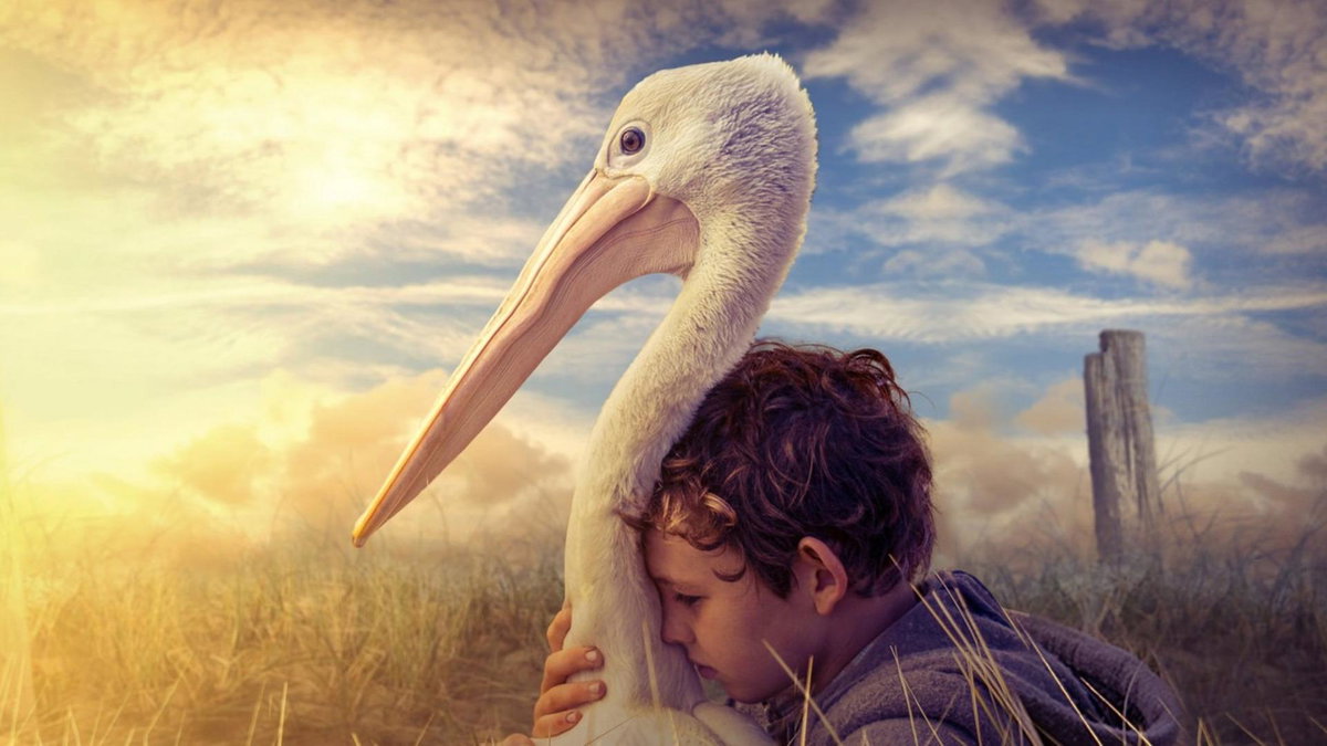 Immagine di Storm Boy - Il ragazzo che sapeva volare: trama, cast e dove vederlo in streaming