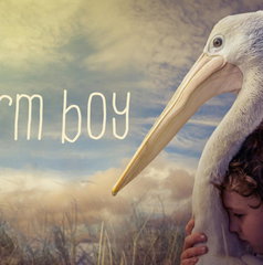 Copertina di Dove è stato girato Storm Boy - Il ragazzo che sapeva volare?