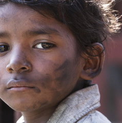 Copertina di Lion - La strada verso casa è gratis in streaming: un viaggio emozionante tra memoria e identità