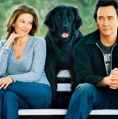 Copertina di Partnerperfetto.com, il film stasera in tv su La5: trama, cast e streaming