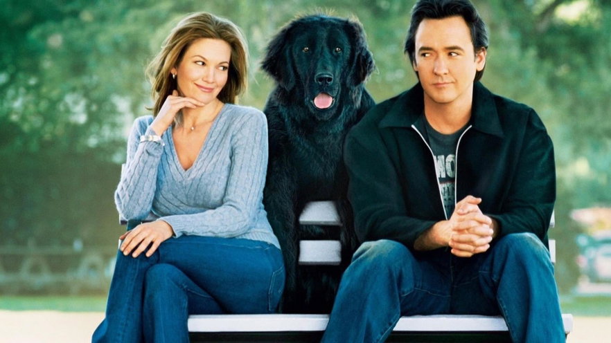 Partnerperfetto.com, il film stasera in tv su La5: trama, cast e streaming