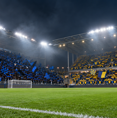 Copertina di Atalanta-Frosinone: pronostico AI, chi vince?