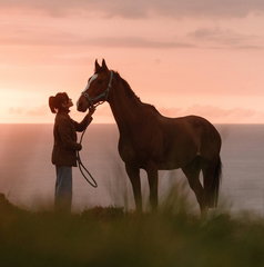 Copertina di Rosamunde Pilcher: Anniversary, stasera su La5: trama, cast e streaming