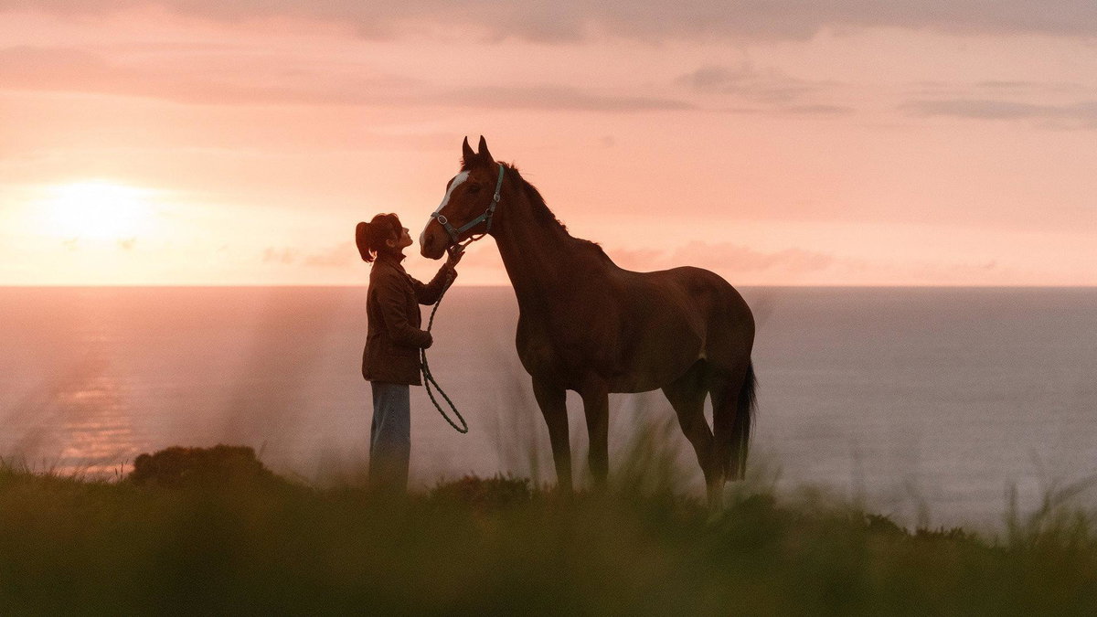 Immagine di Rosamunde Pilcher: Anniversary, stasera su La5: trama, cast e streaming