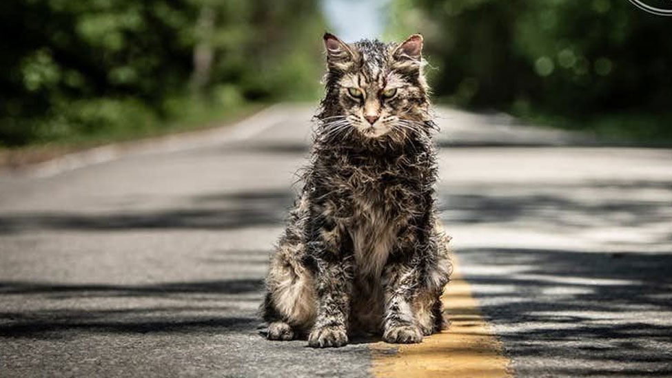 Copertina di Pet Sematary: le prime immagini del remake di Cimitero Vivente