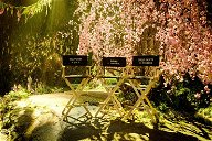 Copertina di Maleficent 2 inizia le riprese: le prime foto dal set con Angelina Jolie ed Elle Fanning