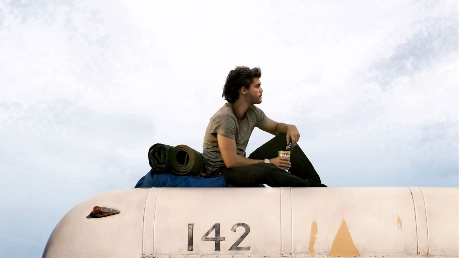 Into the Wild – Nelle terre selvagge: il finale e il suo significato -  CulturaPop