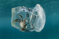 Copertina di Ambiente: entro il 2021 addio alla plastica monouso in Europa