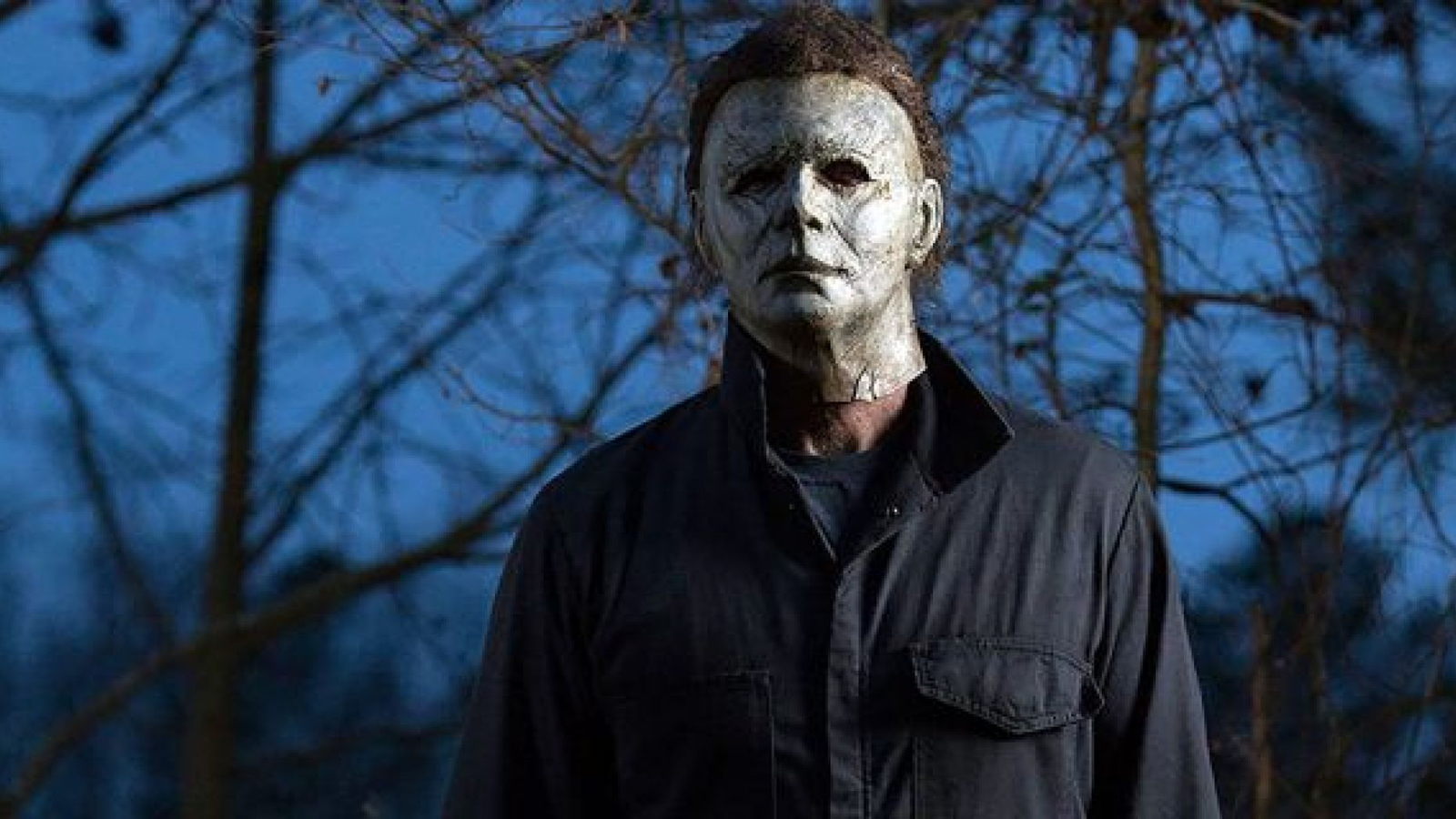 Immagine di Halloween: tutti i film su Michael Myers e l'ordine in cui guardarli