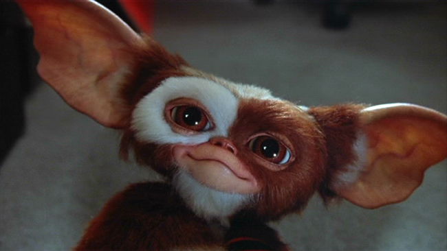 Copertina di Gremlins 3: Zach Galligan parla del sequel e svela nuovi dettagli