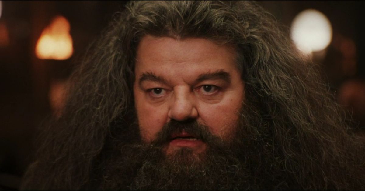 Immagine di Addio a Robbie Coltrane, Hagrid nella saga di Harry Potter