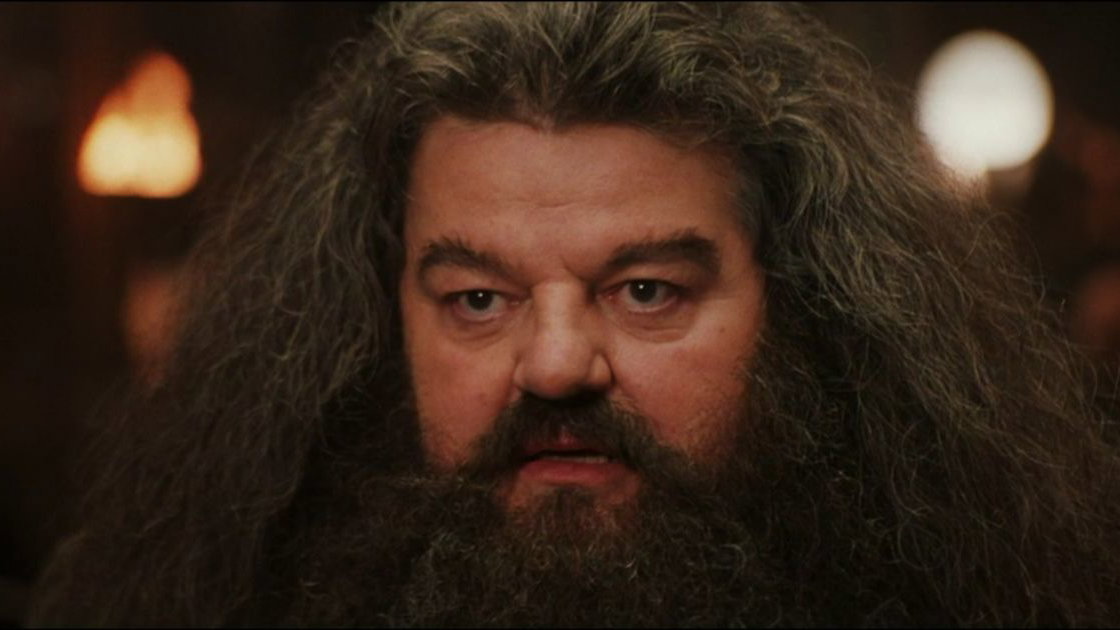Immagine di Addio a Robbie Coltrane, Hagrid nella saga di Harry Potter