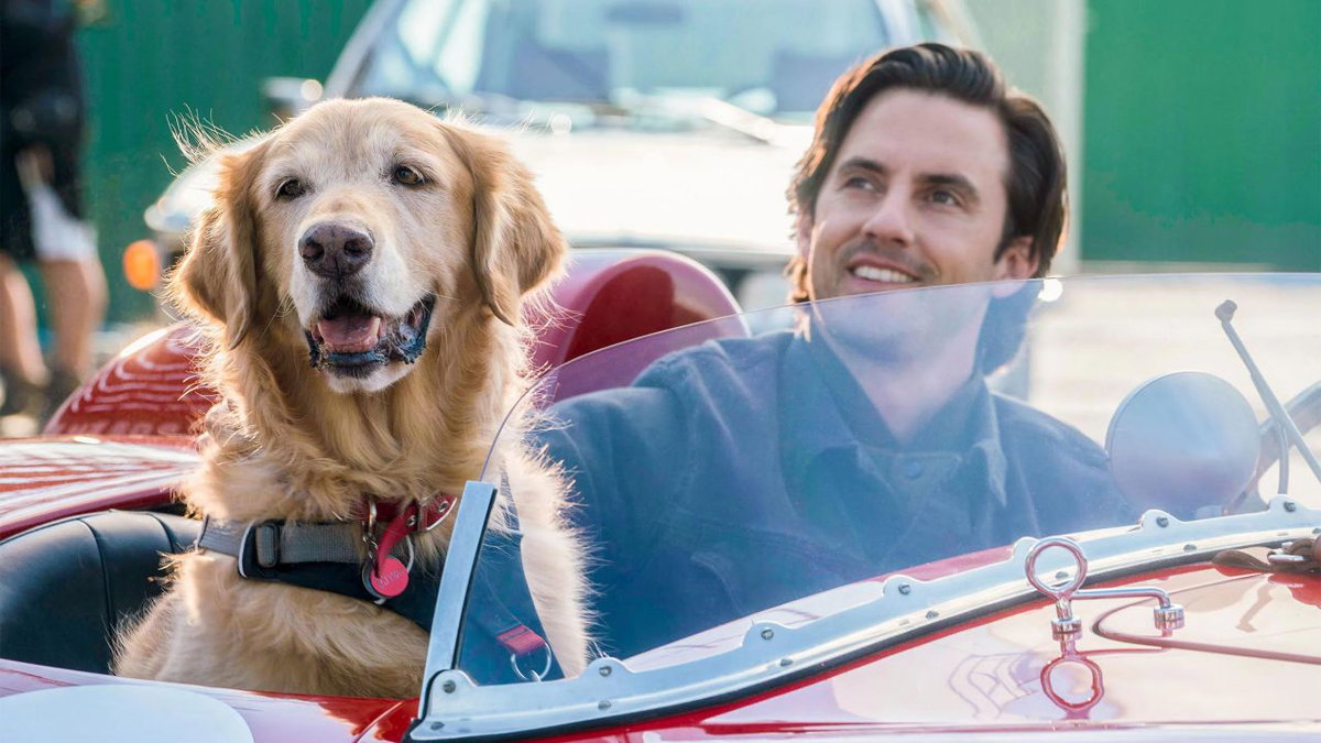 Immagine di Attraverso i miei occhi: le migliori citazioni del film con Milo Ventimiglia