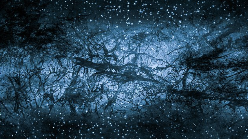 Copertina di Scienziati vogliono provare l'esistenza di una dimensione parallela come in Stranger Things