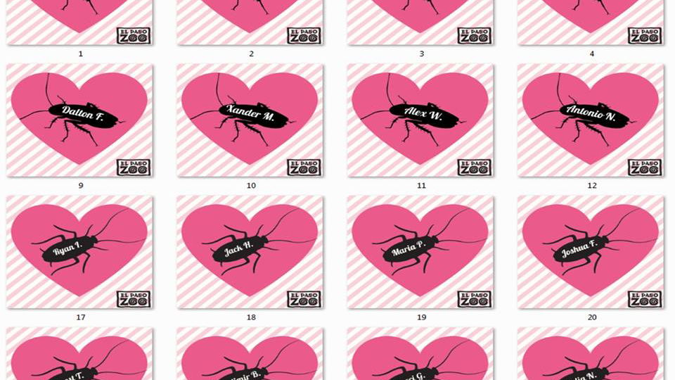 Copertina di Lo zoo che chiamerà gli scarafaggi col nome dei tuoi ex per San Valentino