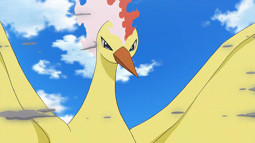 Copertina di Pokémon GO, una squadra di soli due giocatori è riuscita a catturare il Leggendario Moltres