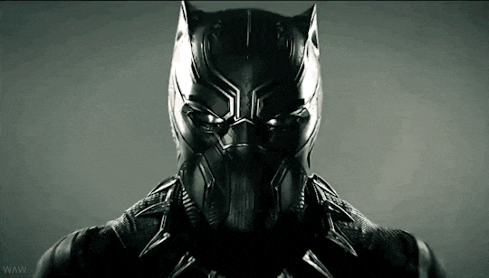 Copertina di Black Panther: il tentato boicottaggio razzista bloccato da Facebook