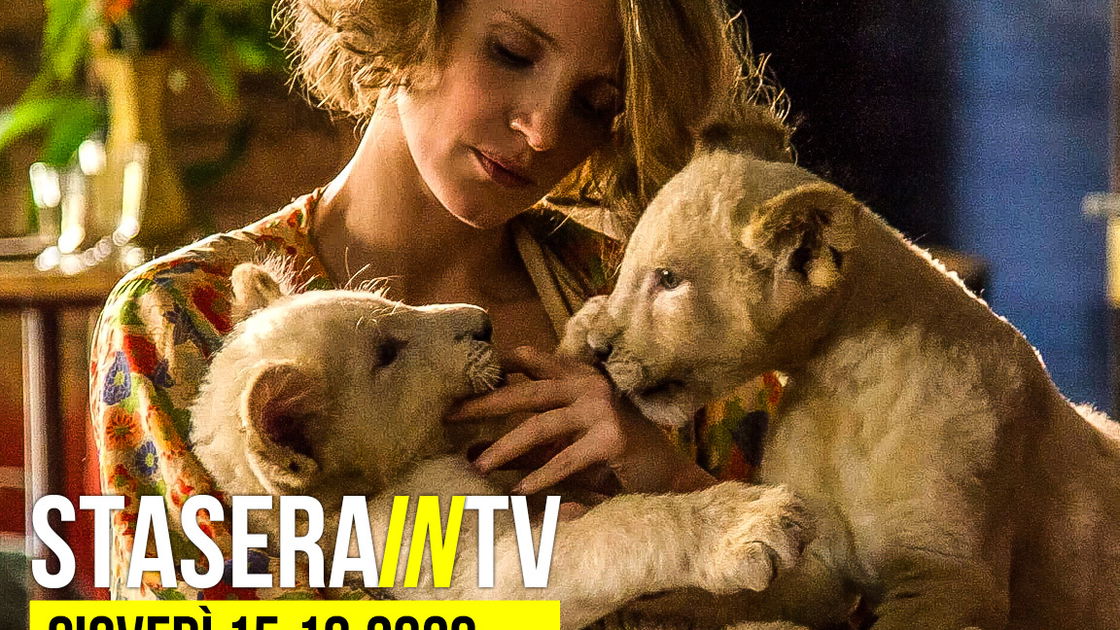 Copertina di I 10 film da vedere questa sera in TV: gli imperdibili sono End of Justice - Nessuno è innocente su Rai 3 e La signora dello zoo di Varsavia su Premium Cinema 2