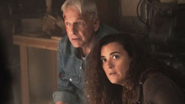 Copertina di Sorprese anche per Ziva David nel ritorno in N.C.I.S., stagione 17