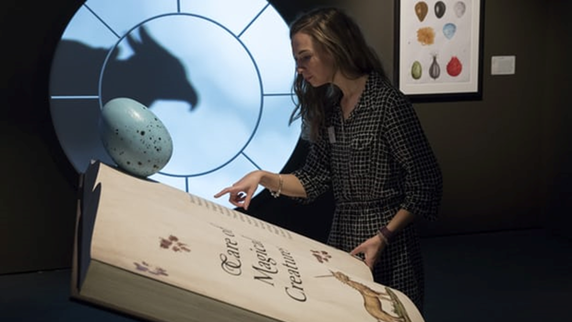 Copertina di Harry Potter: A History of Magic, la splendida mostra si visita online