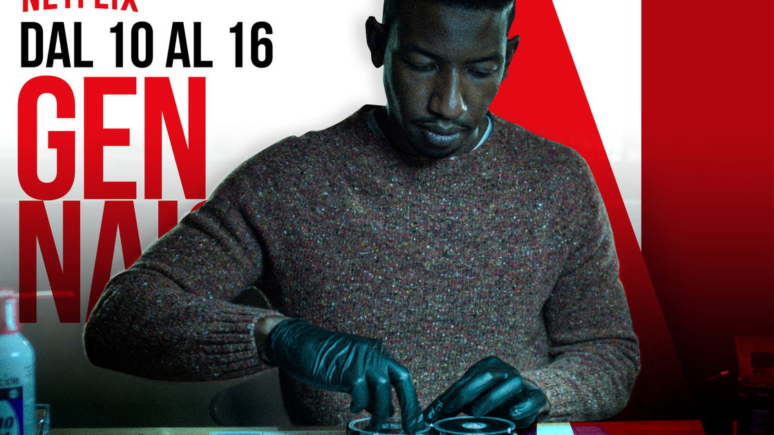 Copertina di Novità Netflix: cosa c'è di nuovo dal 10 al 16 gennaio 2022