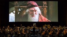 Copertina di Il film concerto di Harry Potter arriva in Italia, ecco quando