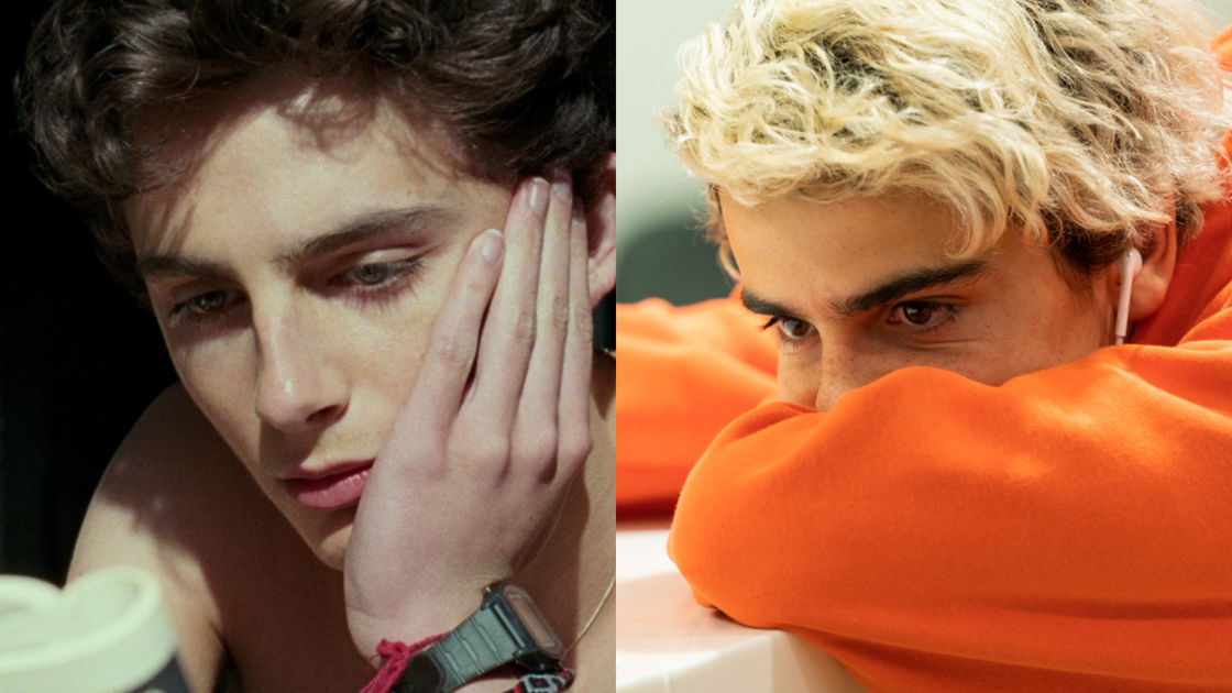 Copertina di Luca Guadagnino conferma il cameo di Timothée Chalamet (e non solo) in We Are Who We Are