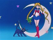 Copertina di La sigla di Sailor Moon in un'eccezionale parodia fatta in casa