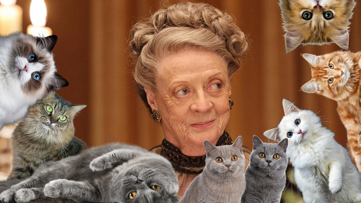 Immagine di Downton Abbey, Lady Violet ama le foto buffe dei gattini