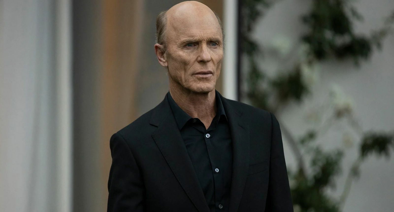 Immagine di Westworld 4 è più facile da capire, lo ha detto Ed Harris