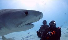 Copertina di Will Smith nuota con gli squali nel nuovo episodio della serie in cui affronta le sue paure [VIDEO]