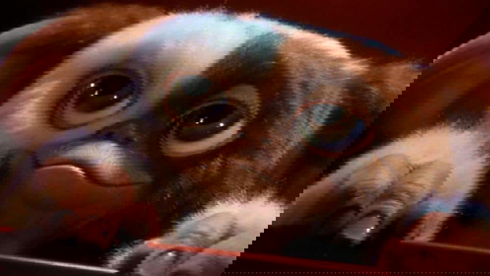 Copertina di Gremlins 3: indizi sulla trama e tutti gli aggiornamenti sul sequel