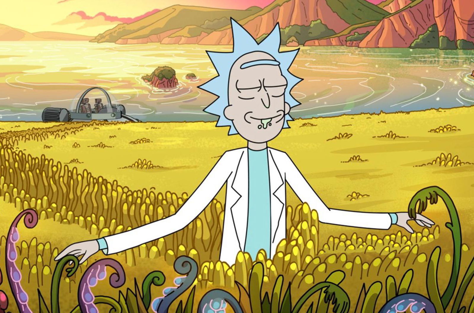 Rick and Morty: i nuovi episodi in Italia dal 24 luglio - CulturaPop