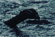 Copertina di Due nuovi avvistamenti (e una strana foto) per il mostro di Loch Ness!