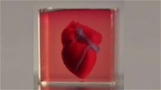 Copertina di Ecco il primo (piccolo) cuore stampato in 3D partendo da cellule umane